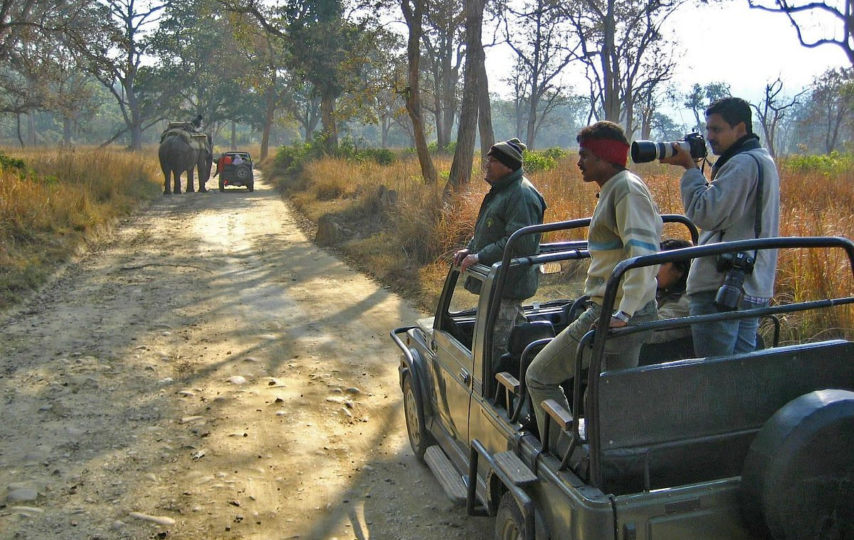 Jeep Safari Jim Corbett – Price, Best Zones & Online Booking 2026