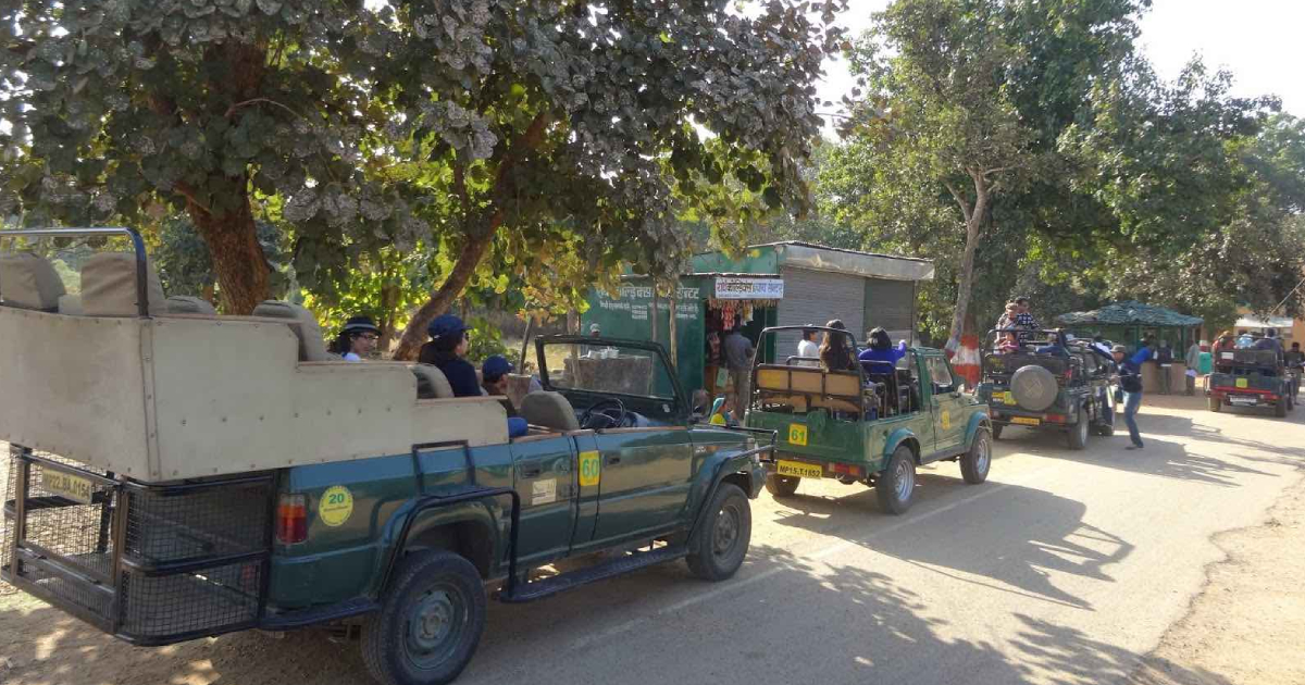 Jeep Safari Cost Month-wise in Jim Corbett