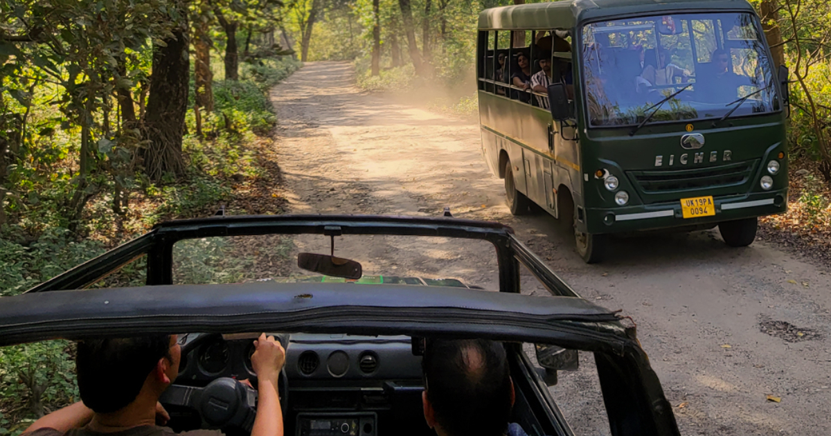Jeep Safari vs Canter Safari Cost in Jim Corbett (2026 Guide)