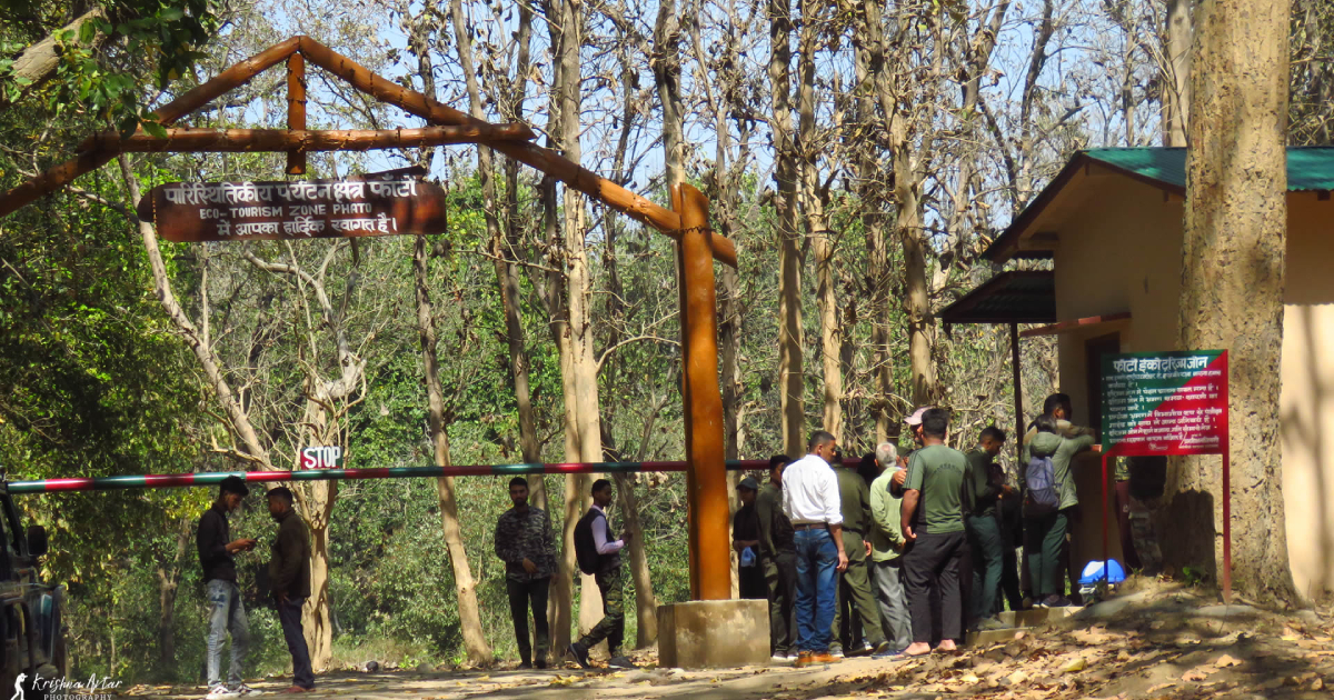 Cheapest Safari Zone in Jim Corbett (2026 Budget Guide)