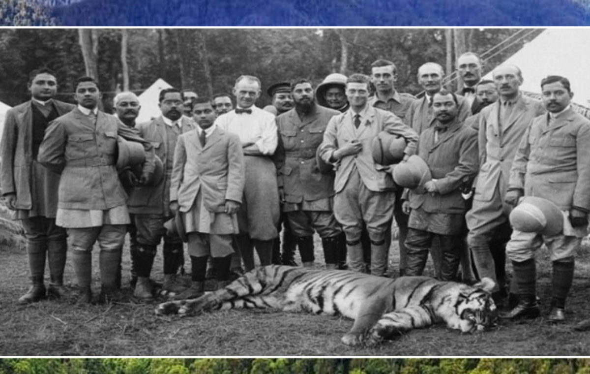 More Than Just Tigers: Why is Jim Corbett National Park So Famous?