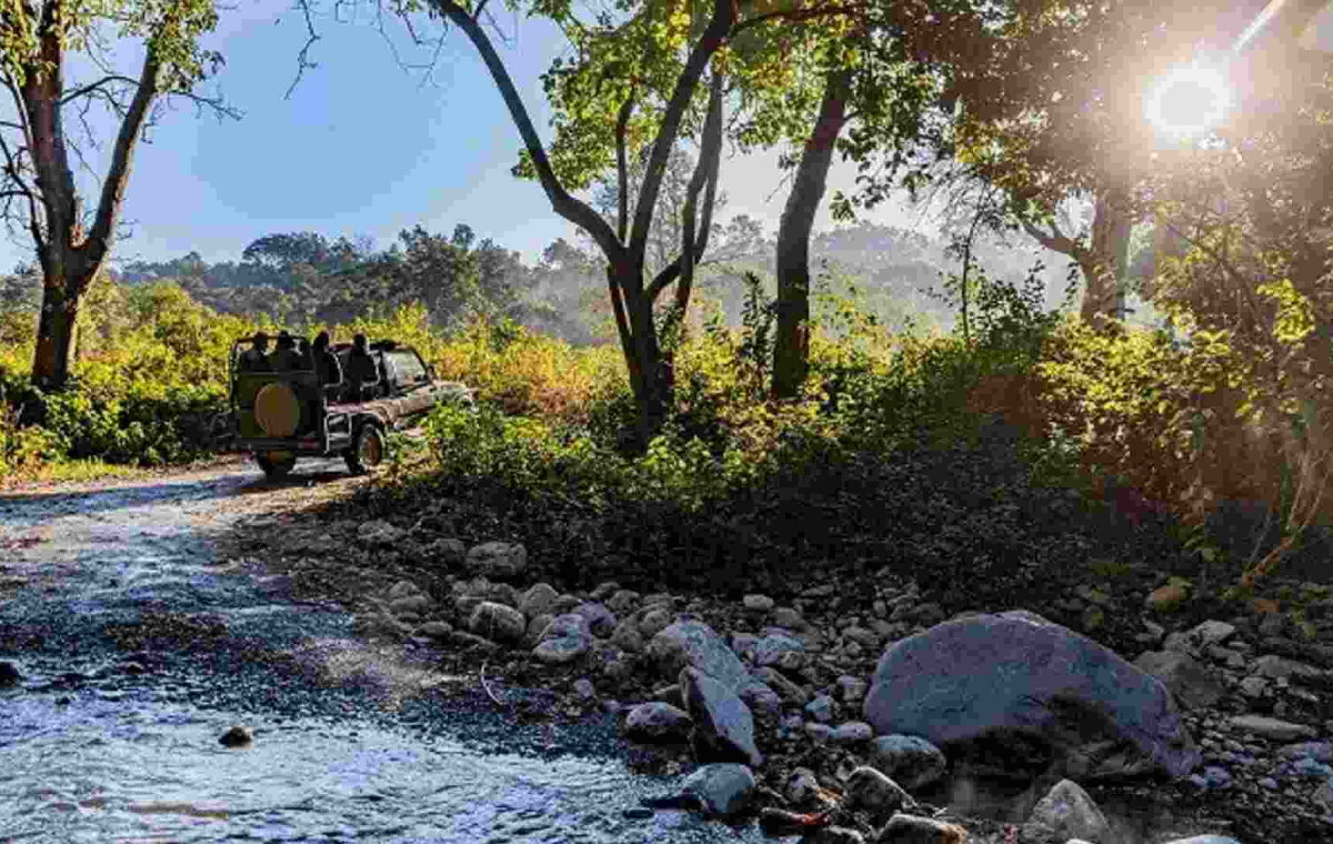 Short on Time? Here’s the Truth: Are 2 Days Enough for Jim Corbett National Park?