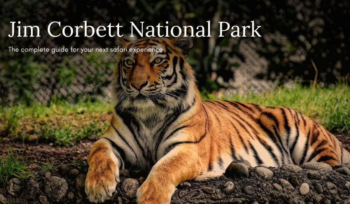 Jim Corbett Official Website for Booking: A Complete Guide