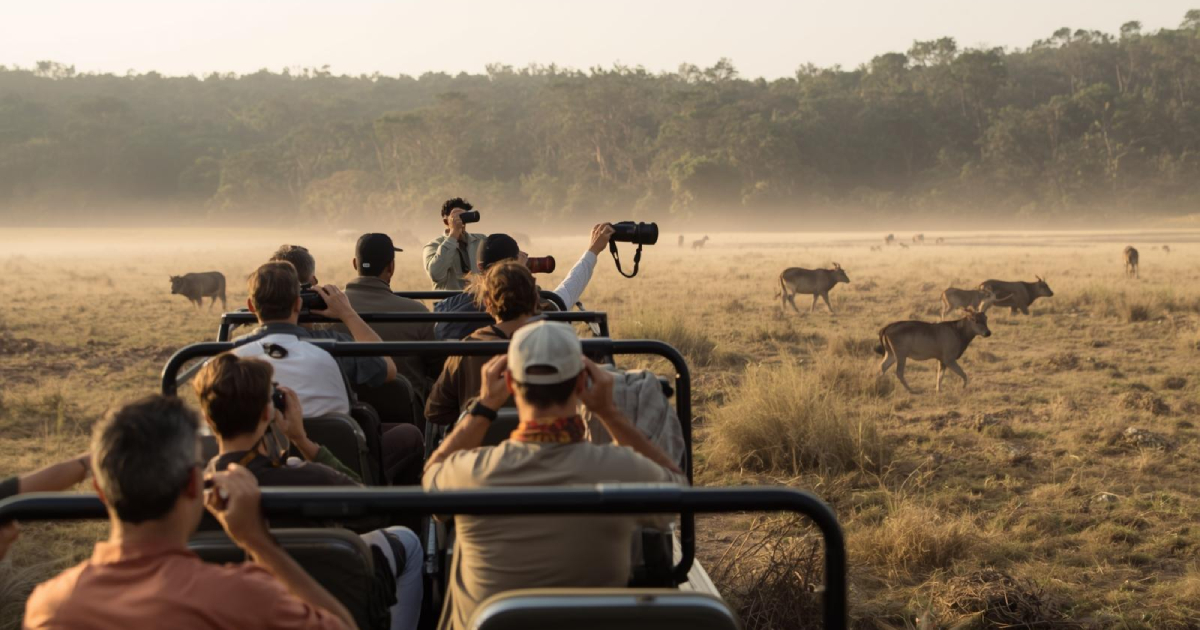 Jim Corbett Government Safari Fees 2026 | Complete Guide